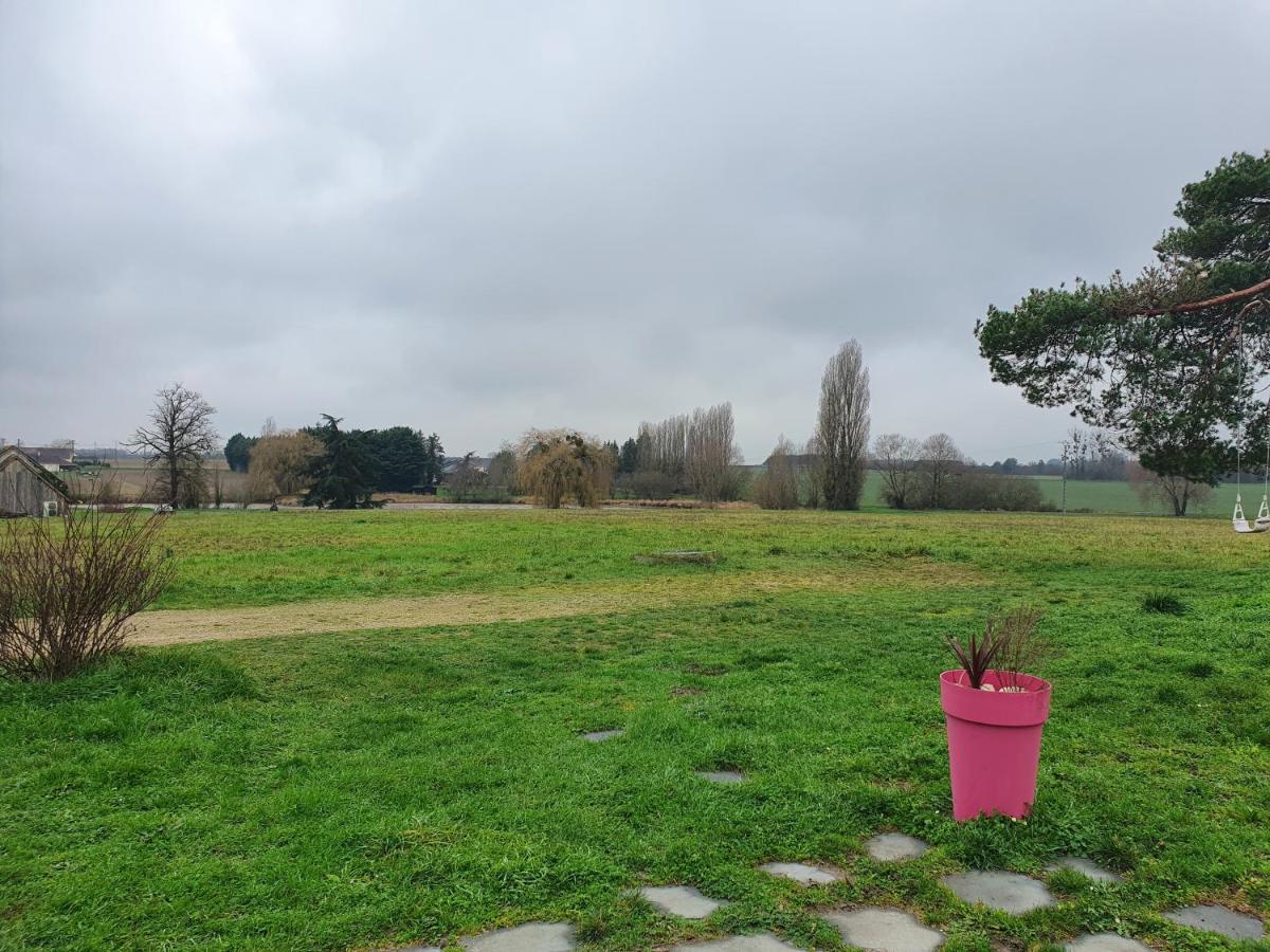 Gite Du "Chat Botte" Zoo De Beauval Chateaux De La Loire 4 Pers Choussy ภายนอก รูปภาพ